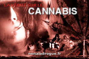 De Waarheid over Cannabis